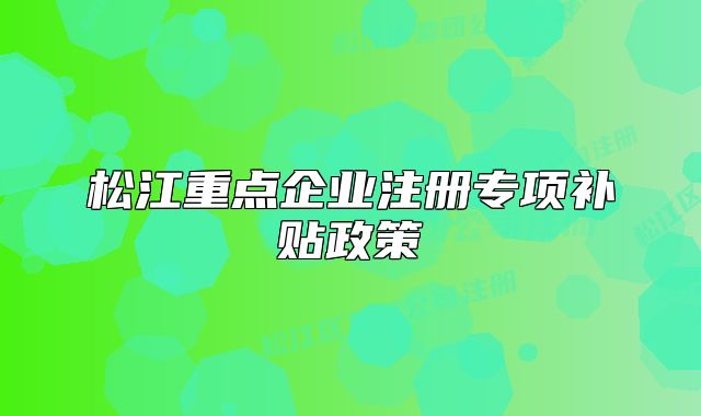 松江重點(diǎn)企業(yè)注冊(cè)專(zhuān)項(xiàng)補(bǔ)貼政策