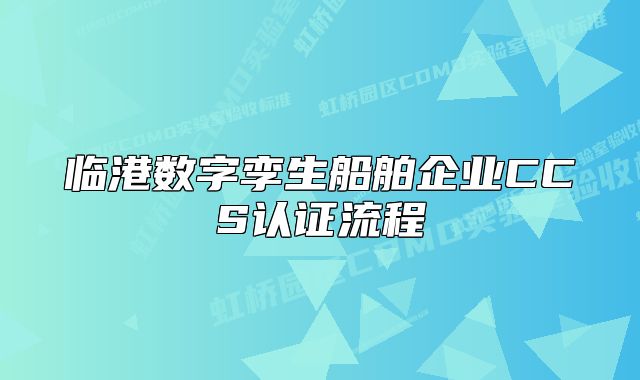 臨港數(shù)字孿生船舶企業(yè)CCS認(rèn)證流程