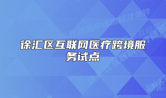 徐匯區(qū)互聯(lián)網(wǎng)醫(yī)療跨境服務試點