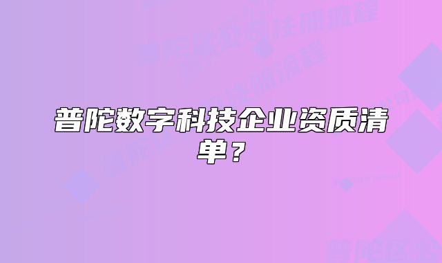 普陀數(shù)字科技企業(yè)資質(zhì)清單？