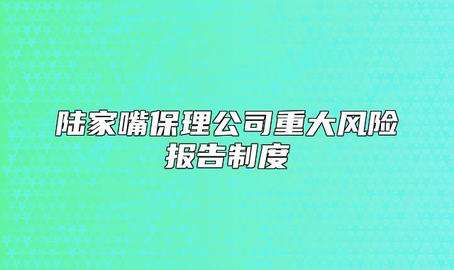 陸家嘴保理公司重大風(fēng)險(xiǎn)報(bào)告制度