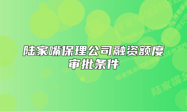 陸家嘴保理公司融資額度審批條件
