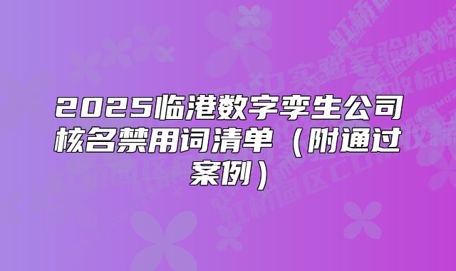 2025臨港數(shù)字孿生公司核名禁用詞清單（附通過(guò)案例）