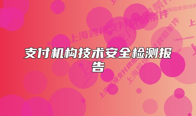 支付機(jī)構(gòu)技術(shù)安全檢測(cè)報(bào)告