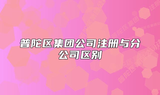 普陀區(qū)集團公司注冊與分公司區(qū)別