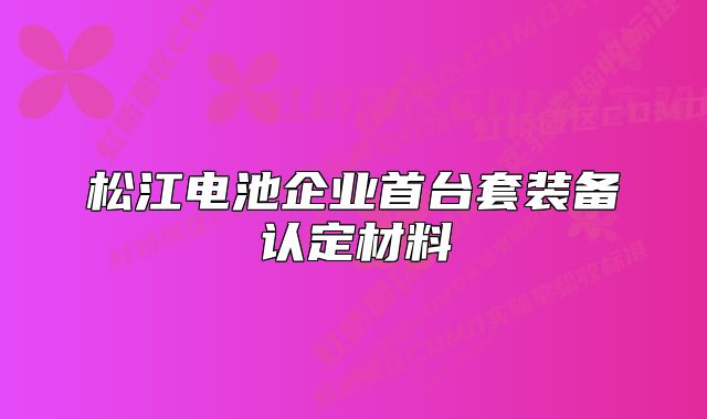 松江電池企業(yè)首臺套裝備認(rèn)定材料