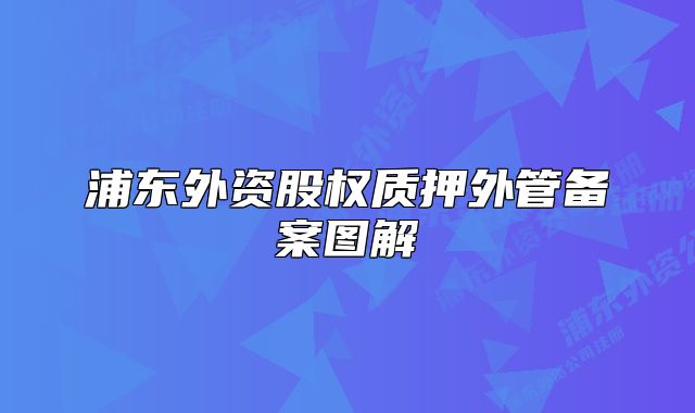 浦東外資股權質(zhì)押外管備案圖解