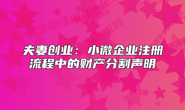 夫妻創(chuàng)業(yè)：小微企業(yè)注冊(cè)流程中的財(cái)產(chǎn)分割聲明