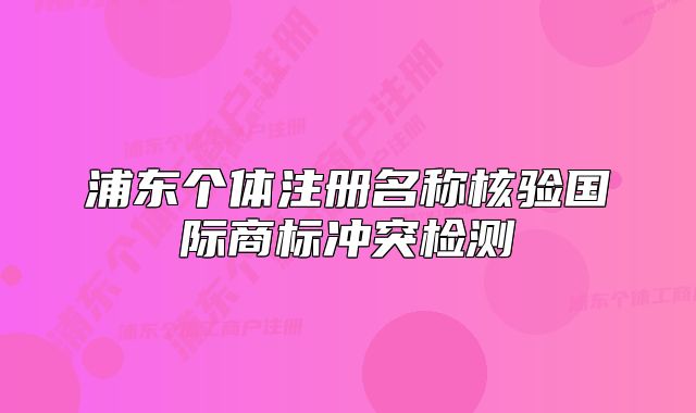 浦東個體注冊名稱核驗(yàn)國際商標(biāo)沖突檢測