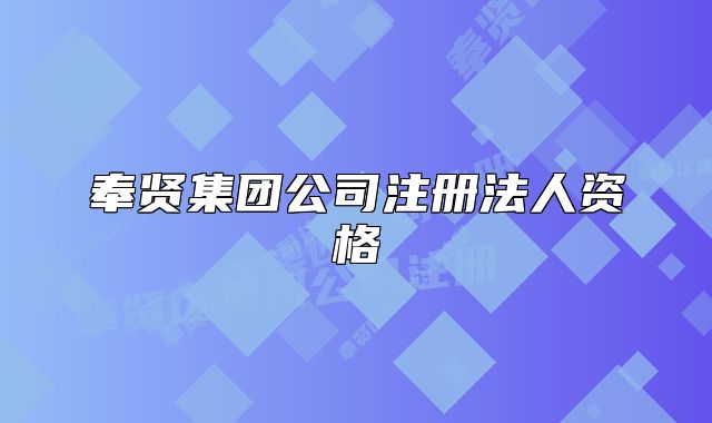 奉賢集團(tuán)公司注冊(cè)法人資格