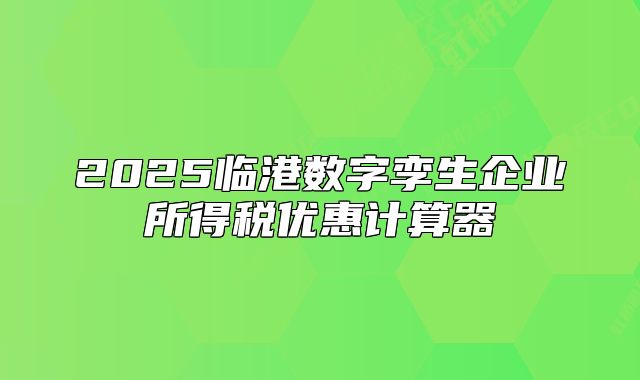 2025臨港數(shù)字孿生企業(yè)所得稅優(yōu)惠計(jì)算器