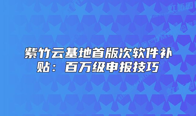 紫竹云基地首版次軟件補(bǔ)貼：百萬(wàn)級(jí)申報(bào)技巧