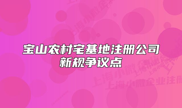 寶山農(nóng)村宅基地注冊公司新規(guī)爭議點