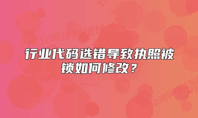 行業(yè)代碼選錯導致執(zhí)照被鎖如何修改？