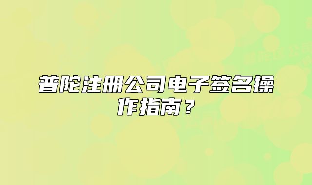 普陀注冊公司電子簽名操作指南？