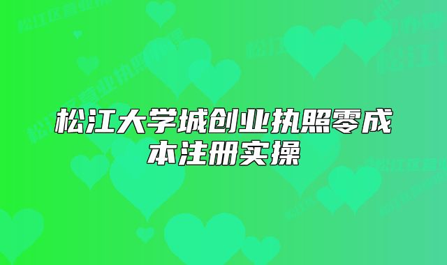 松江大學(xué)城創(chuàng)業(yè)執(zhí)照零成本注冊(cè)實(shí)操