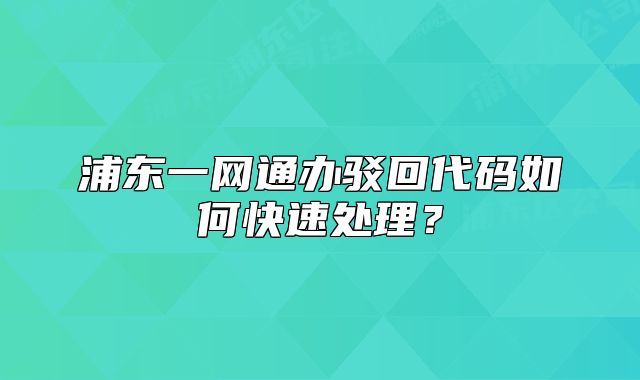浦東一網(wǎng)通辦駁回代碼如何快速處理？