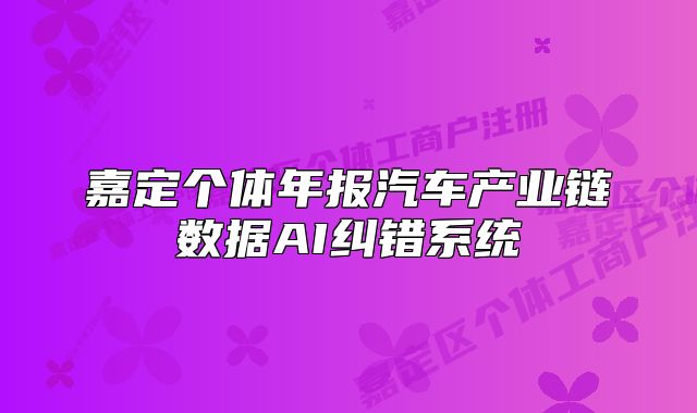 嘉定個體年報汽車產業(yè)鏈數(shù)據(jù)AI糾錯系統(tǒng)