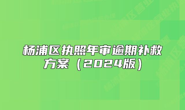 楊浦區(qū)執(zhí)照年審逾期補(bǔ)救方案（2024版）