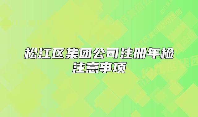 松江區(qū)集團(tuán)公司注冊(cè)年檢注意事項(xiàng)