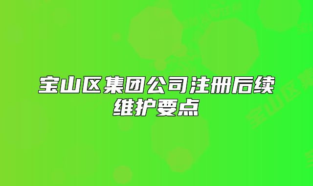 寶山區(qū)集團公司注冊后續(xù)維護要點
