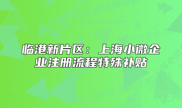 臨港新片區(qū)：上海小微企業(yè)注冊流程特殊補貼
