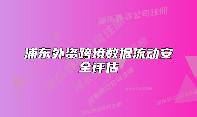 浦東外資跨境數(shù)據(jù)流動(dòng)安全評(píng)估