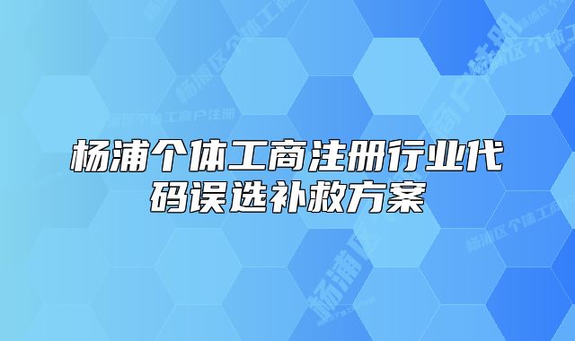 楊浦個(gè)體工商注冊(cè)行業(yè)代碼誤選補(bǔ)救方案