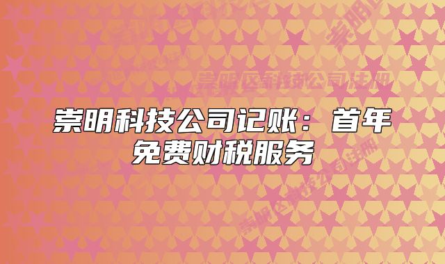 崇明科技公司記賬：首年免費(fèi)財(cái)稅服務(wù)