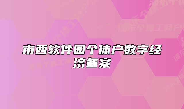 市西軟件園個體戶數(shù)字經(jīng)濟備案