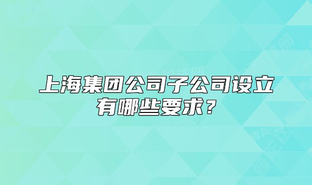 上海集團公司子公司設(shè)立有哪些要求？