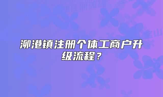 泖港鎮(zhèn)注冊個(gè)體工商戶升級流程？