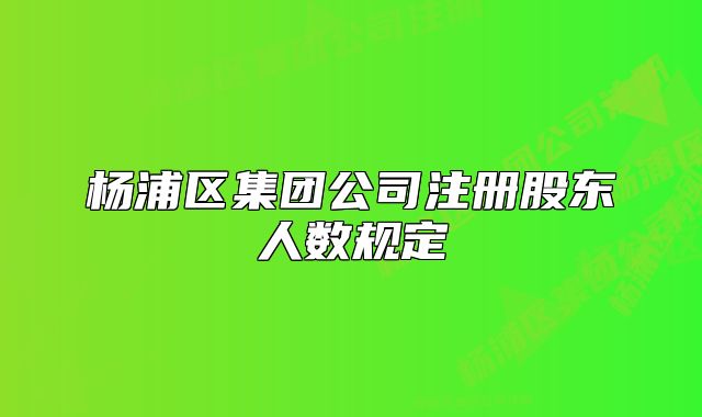 楊浦區(qū)集團公司注冊股東人數(shù)規(guī)定