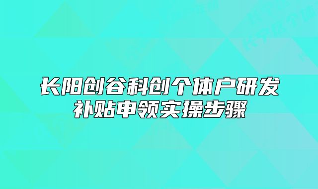 長陽創(chuàng)谷科創(chuàng)個體戶研發(fā)補貼申領(lǐng)實操步驟