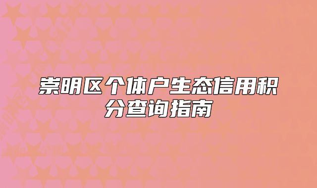 崇明區(qū)個體戶生態(tài)信用積分查詢指南