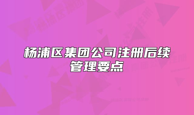 楊浦區(qū)集團(tuán)公司注冊(cè)后續(xù)管理要點(diǎn)