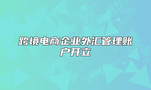 跨境電商企業(yè)外匯管理賬戶開立