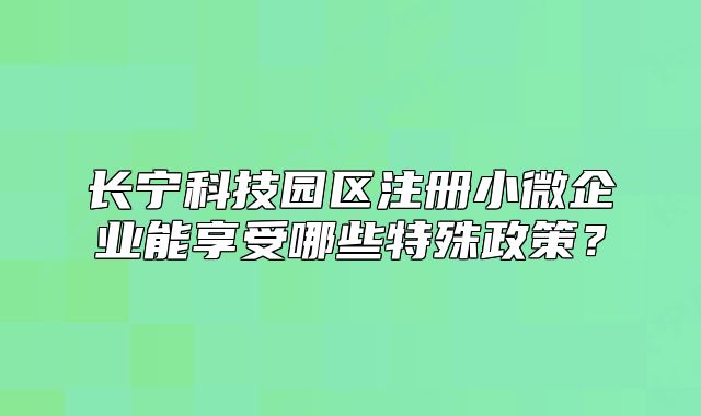 長(zhǎng)寧科技園區(qū)注冊(cè)小微企業(yè)能享受哪些特殊政策？