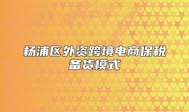 楊浦區(qū)外資跨境電商保稅備貨模式