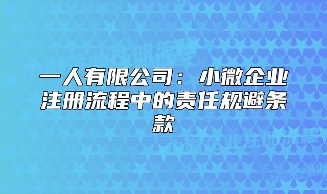 一人有限公司：小微企業(yè)注冊流程中的責(zé)任規(guī)避條款