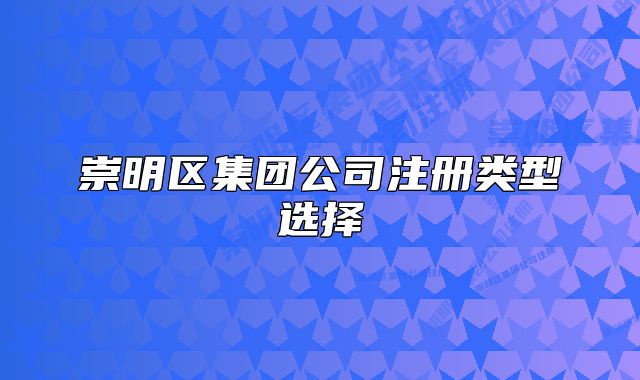 崇明區(qū)集團公司注冊類型選擇