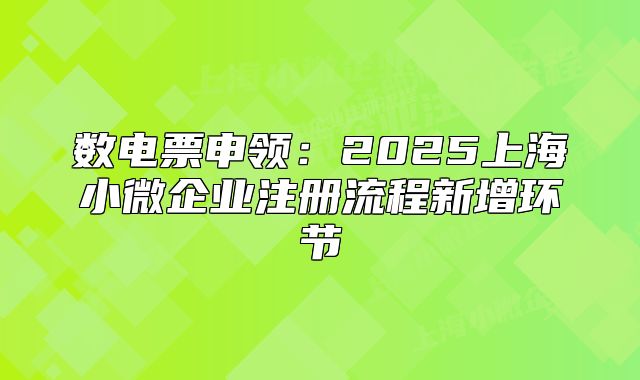 數(shù)電票申領(lǐng)：2025上海小微企業(yè)注冊流程新增環(huán)節(jié)