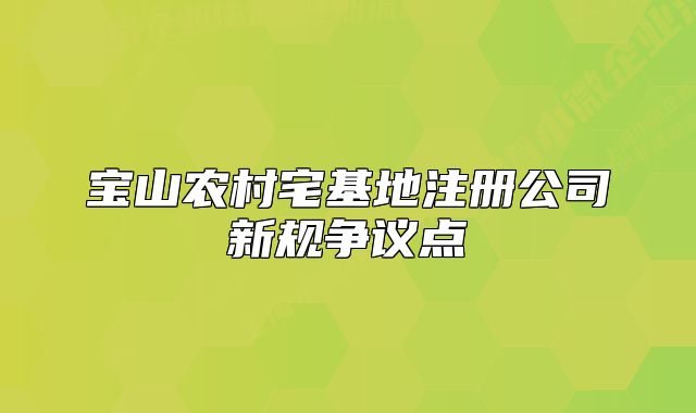 寶山農(nóng)村宅基地注冊公司新規(guī)爭議點