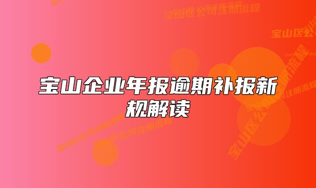 寶山企業(yè)年報逾期補(bǔ)報新規(guī)解讀