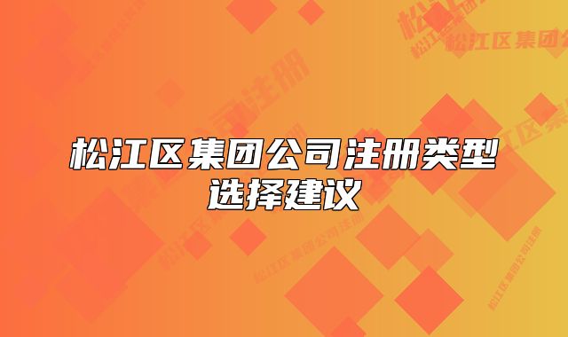 松江區(qū)集團公司注冊類型選擇建議