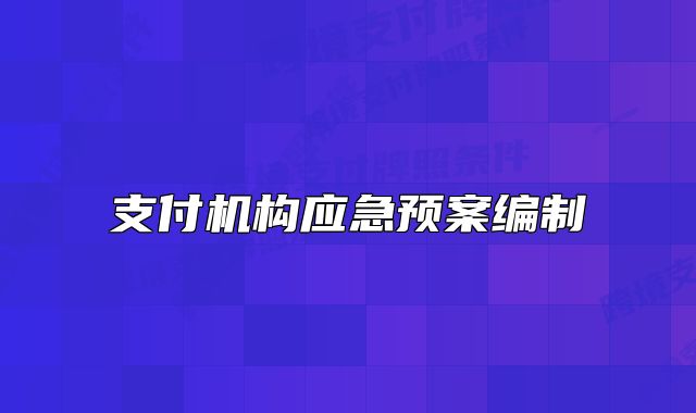 支付機(jī)構(gòu)應(yīng)急預(yù)案編制