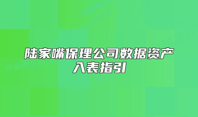 陸家嘴保理公司數(shù)據(jù)資產(chǎn)入表指引