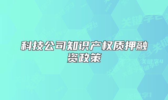 科技公司知識(shí)產(chǎn)權(quán)質(zhì)押融資政策