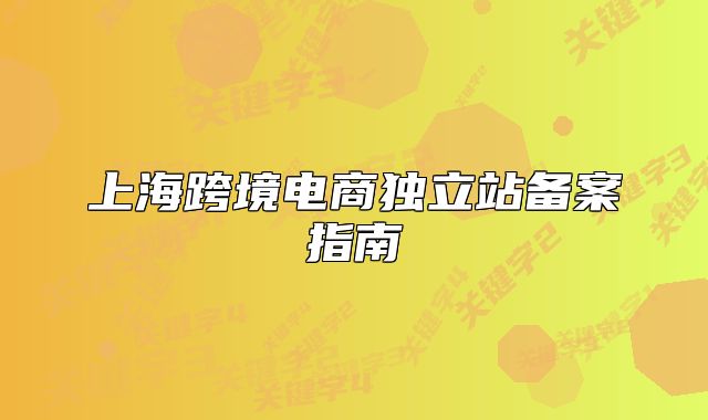 上海跨境電商獨(dú)立站備案指南