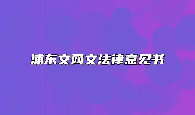 浦東文網文法律意見書